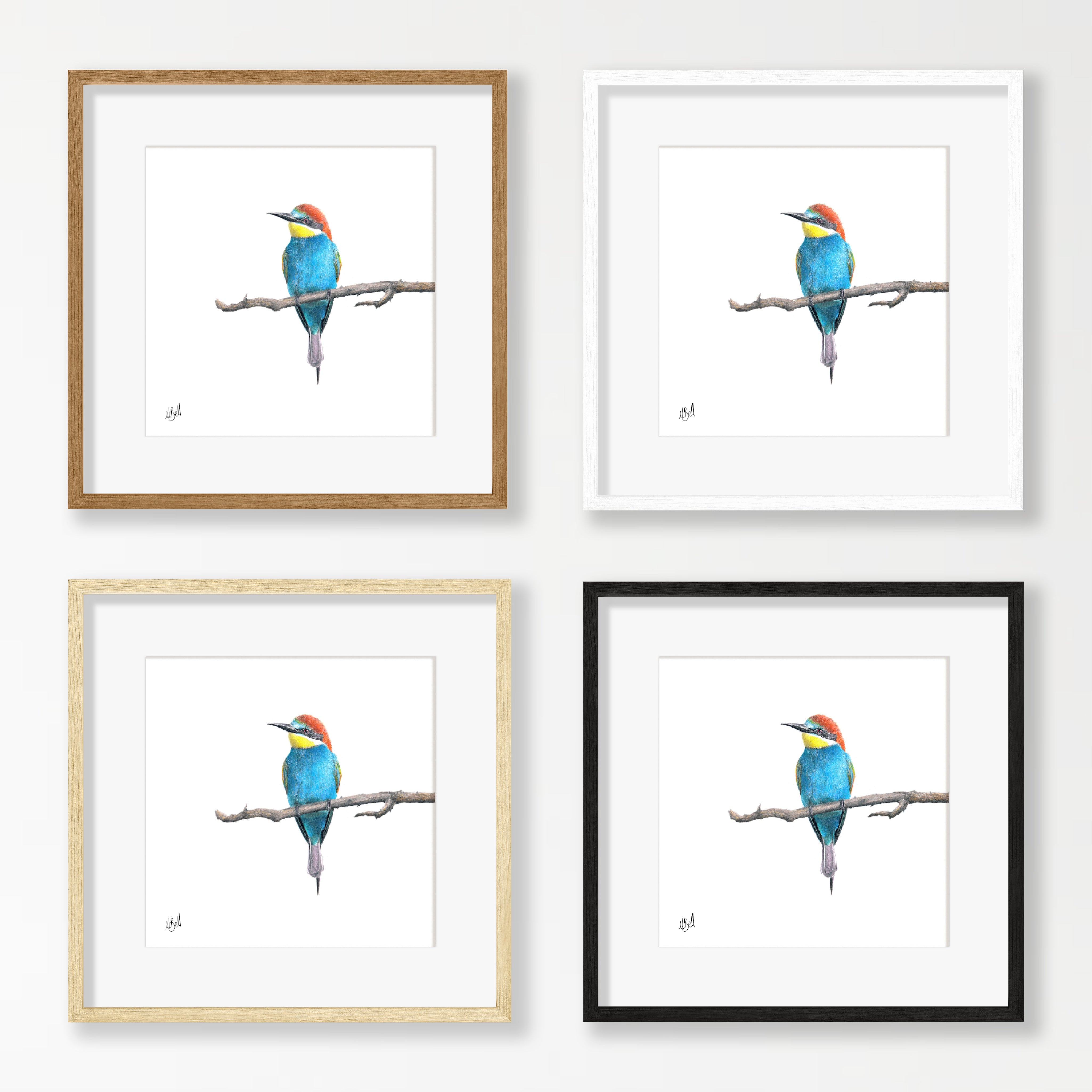 European Bee Eater - EBE2