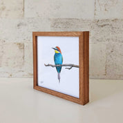 Kiaat wood framed miniature artwork of a European Bee Eater, part of wildlife artist Matthew Bell's birds of South Africa gallery