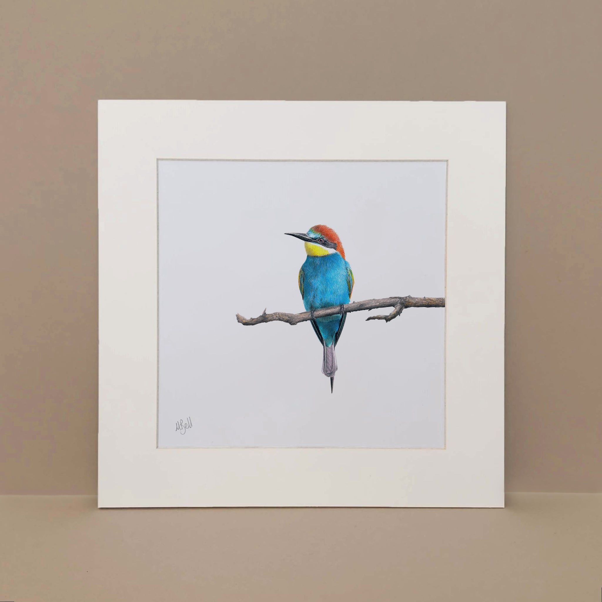 European Bee Eater South African bird artwork