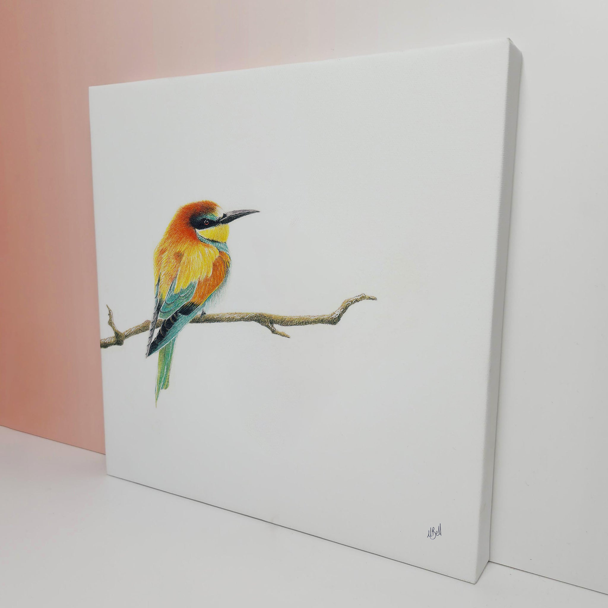 South African bird artwork on canvas, stretched on wooden frame by wildlife artist Matthew Bell of a European Bee Eater