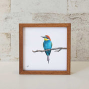 Kiaat wood framed miniature artwork of a European Bee Eater, part of wildlife artist Matthew Bell's birds of South Africa gallery