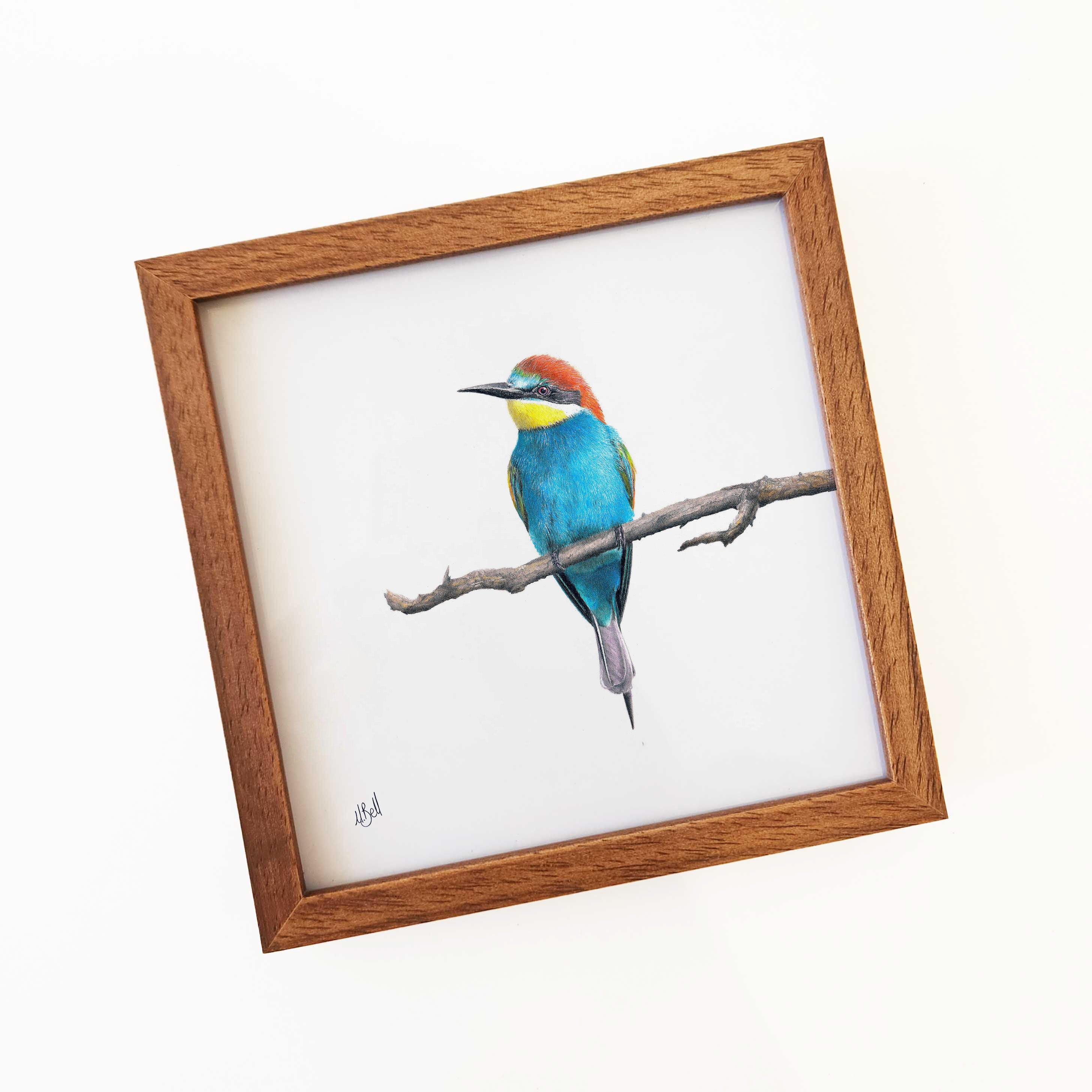 Kiaat wood framed miniature artwork of a European Bee Eater, part of wildlife artist Matthew Bell's birds of South Africa gallery