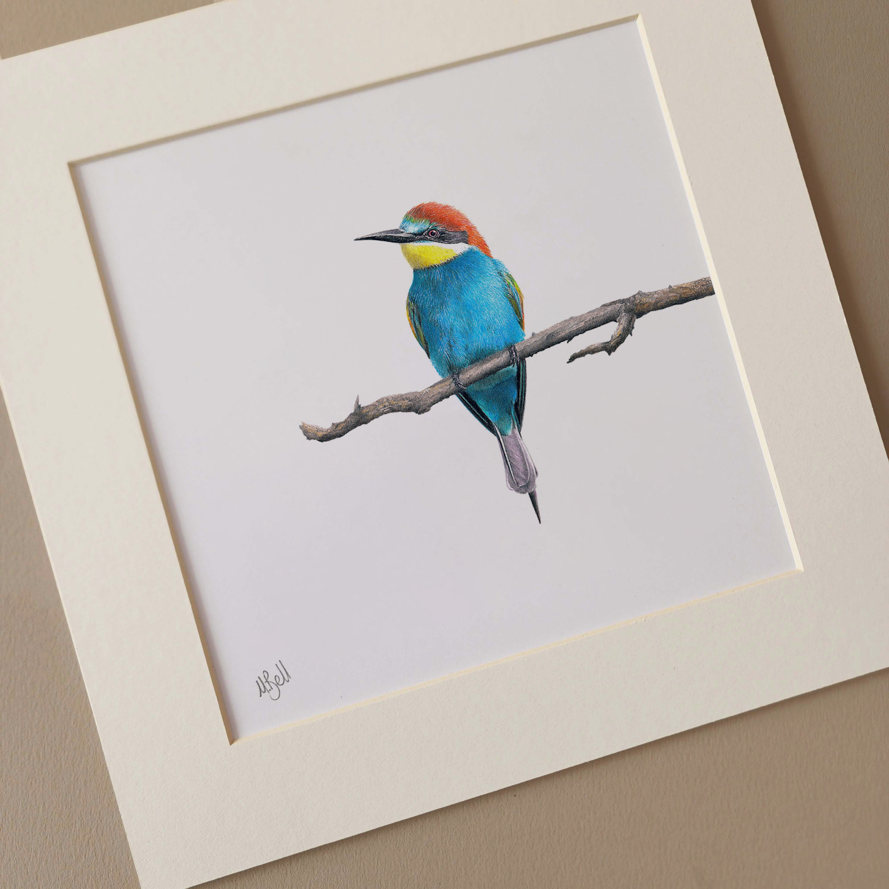 European Bee Eater South African bird artwork