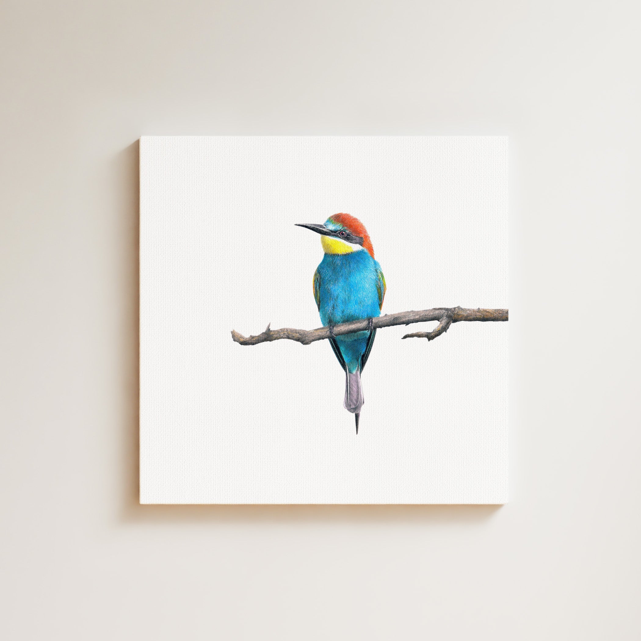 European Bee Eater drawing on canvas by South African wildlife artist Matthew Bell