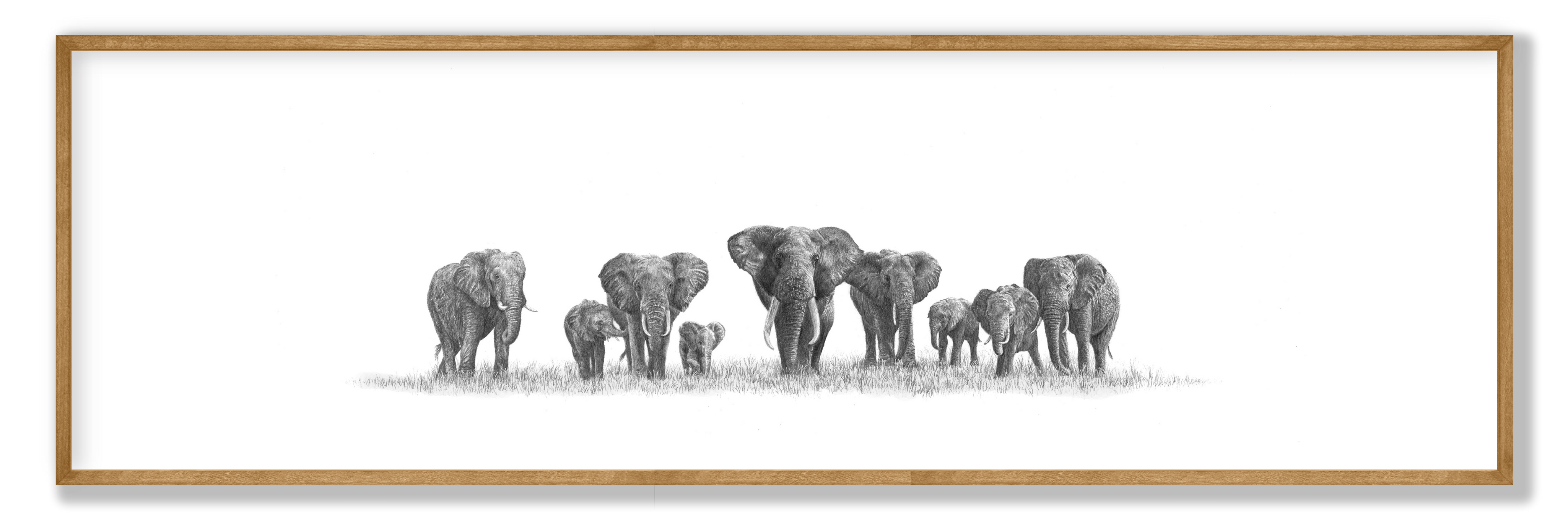 Elephant Heard Panorama
