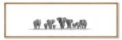 Elephant Heard Panorama
