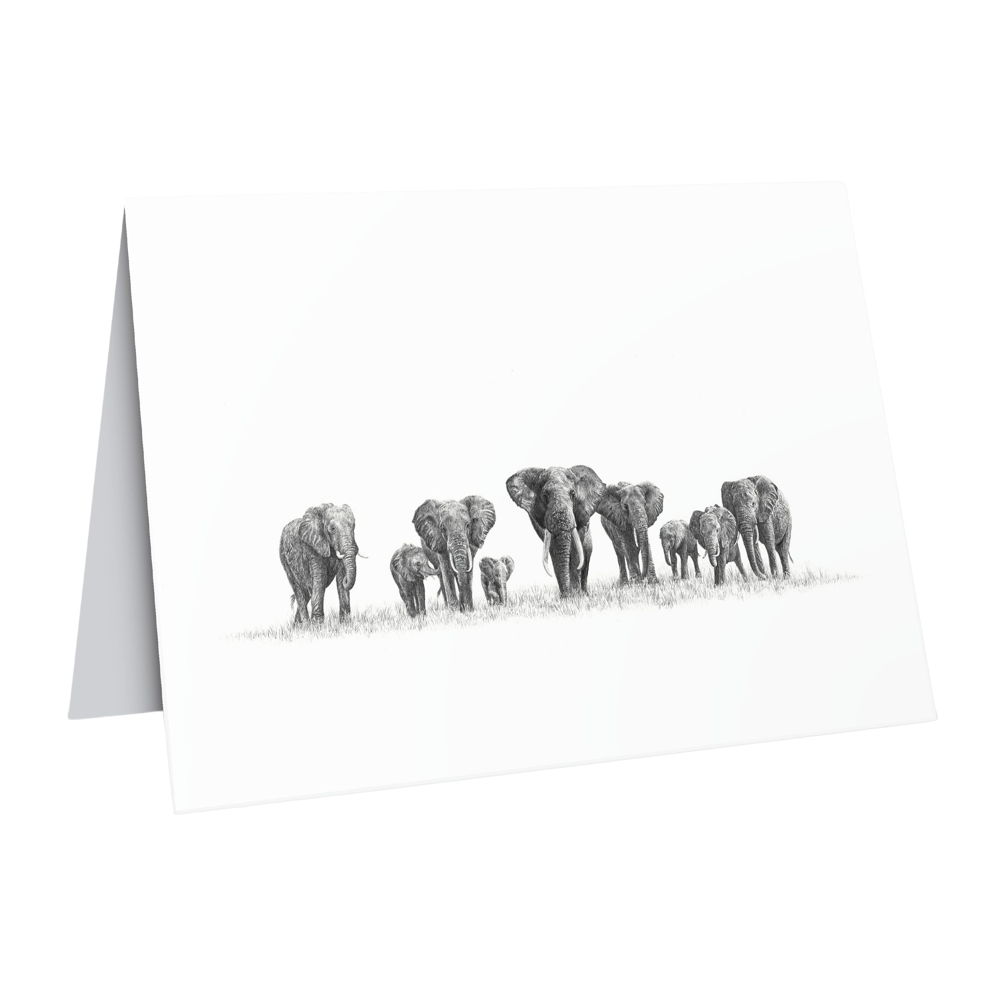 Elephant herd greeting card