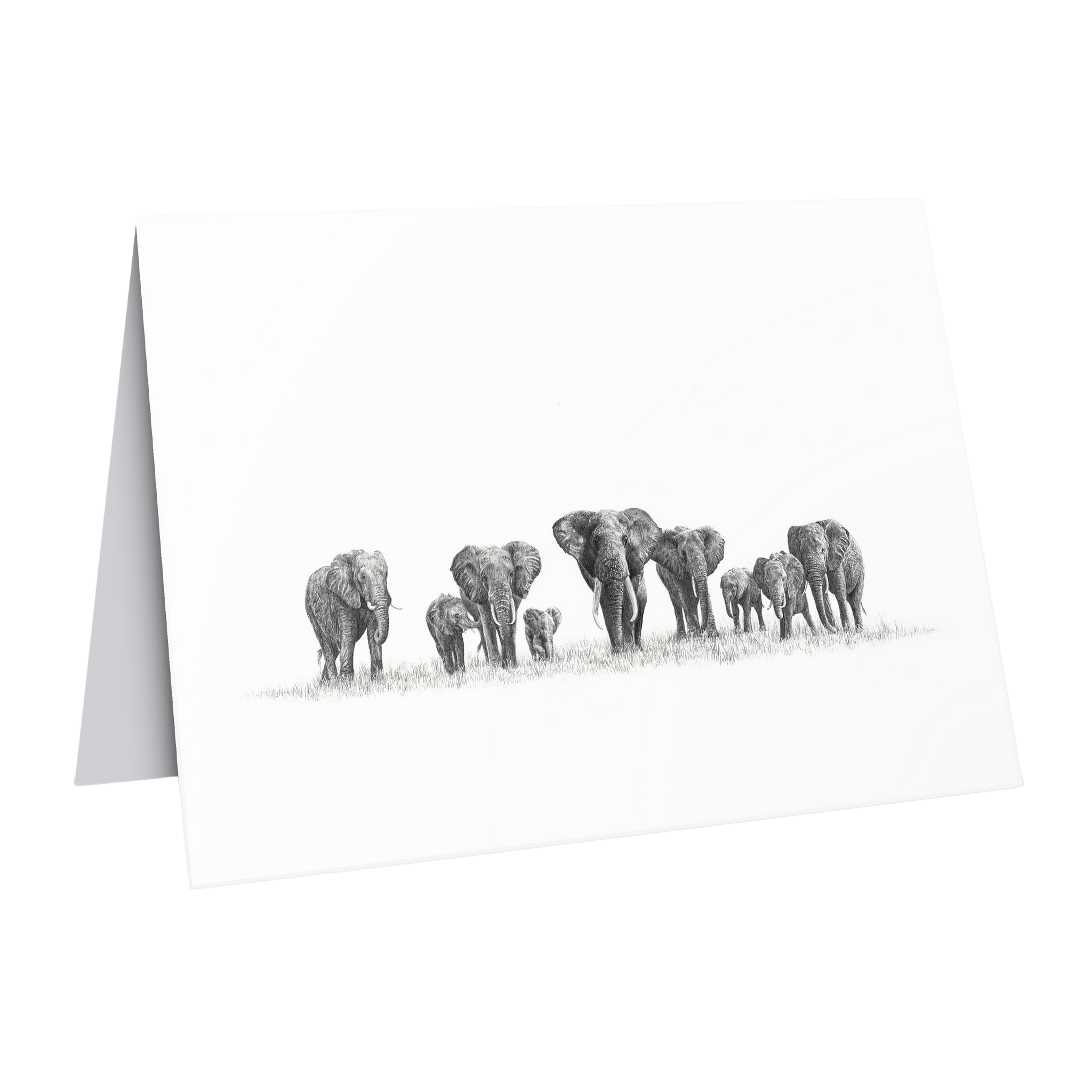 Elephant herd greeting card