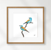 European Rollers - ERL