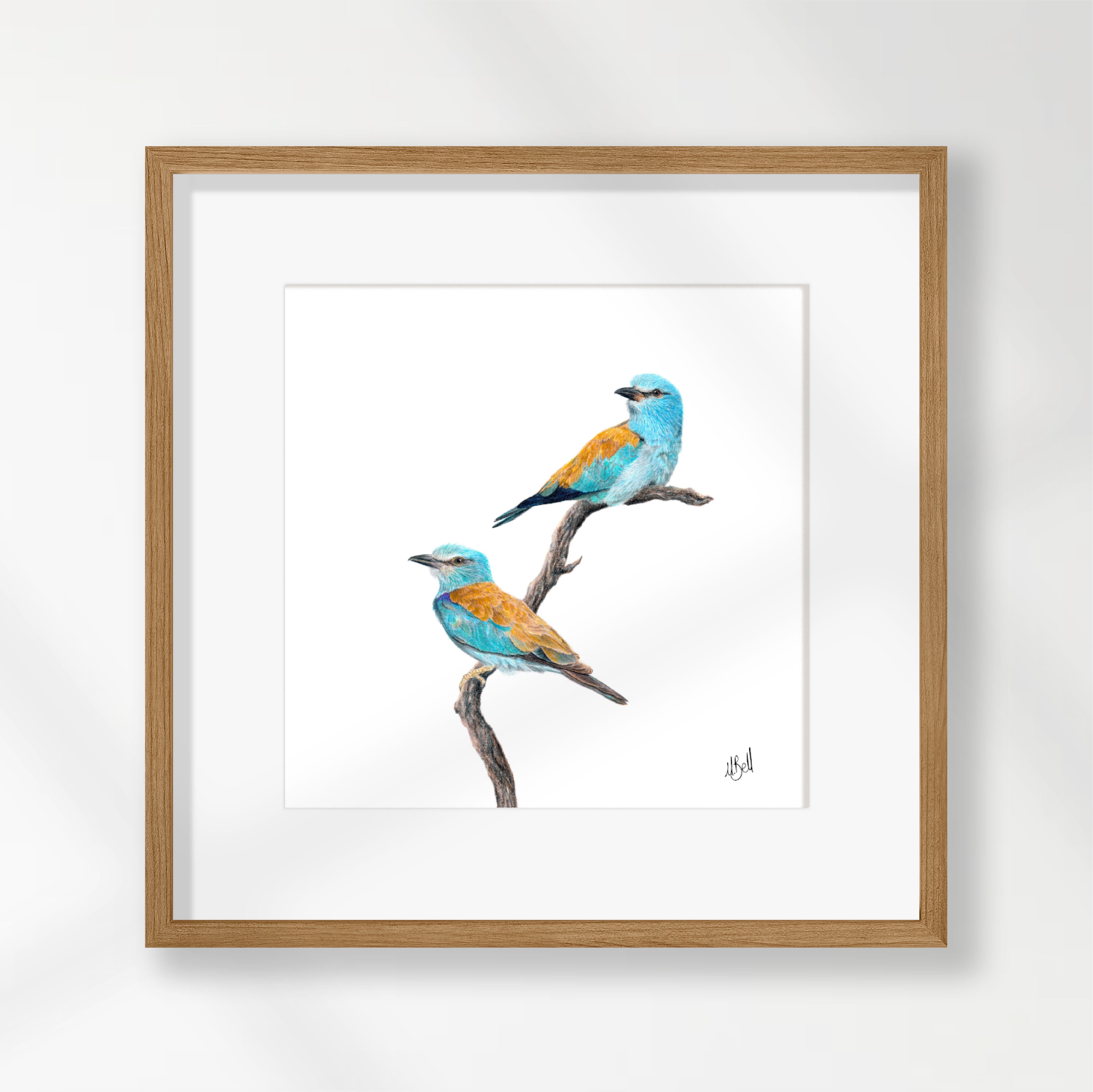 European Rollers - ERL