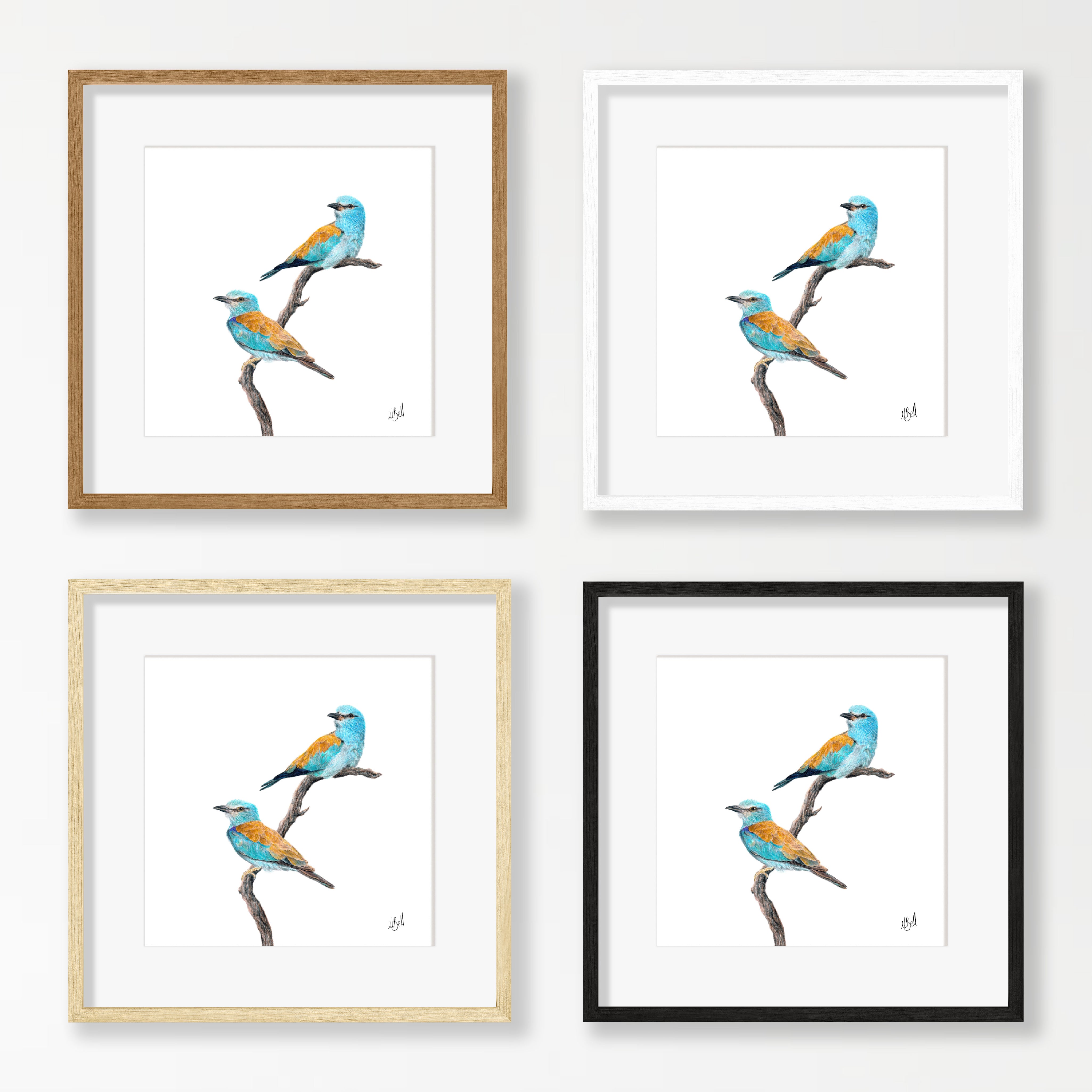 European Rollers - ERL
