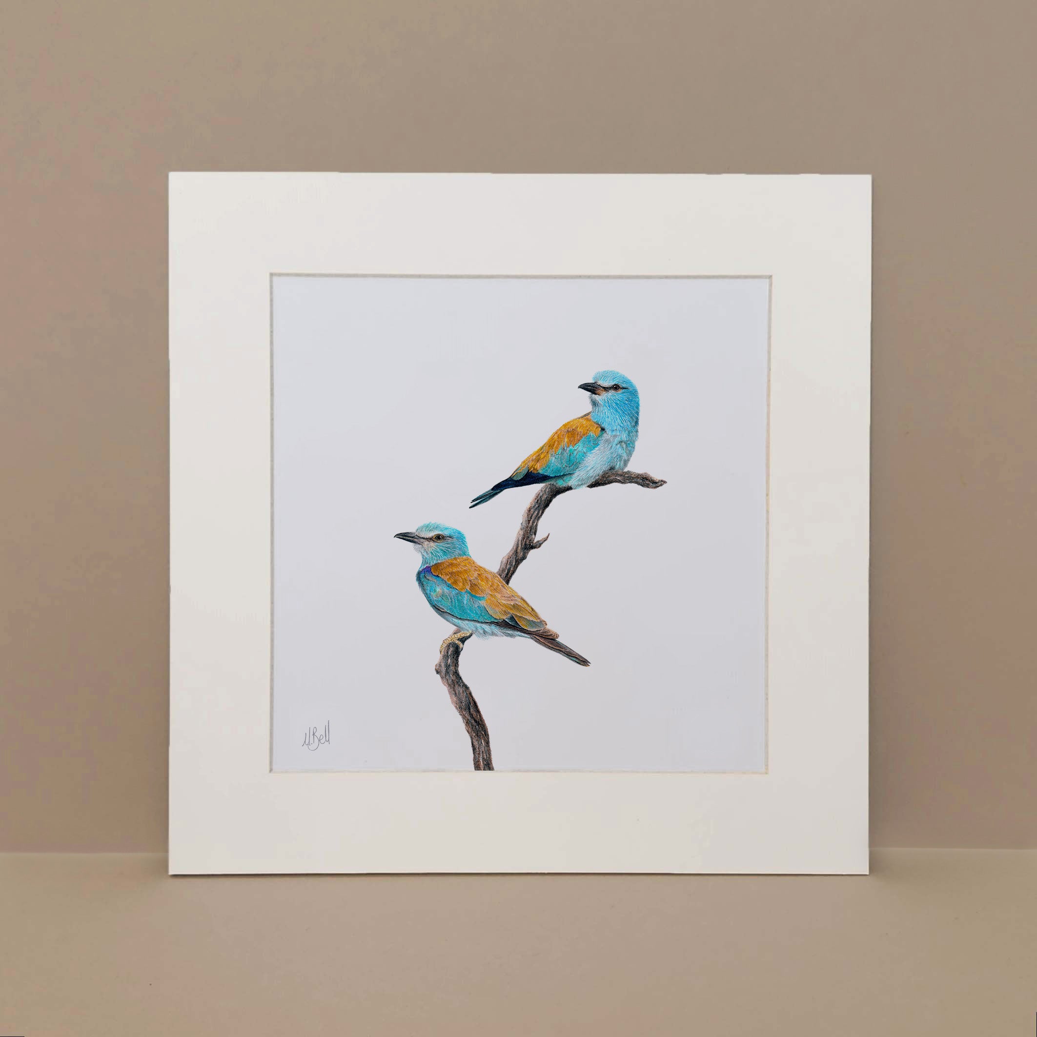 European Rollers pencil art print