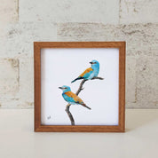 Kiaat wood framed miniature artwork of a European Roller, part of wildlife artist Matthew Bell's birds of South Africa gallery