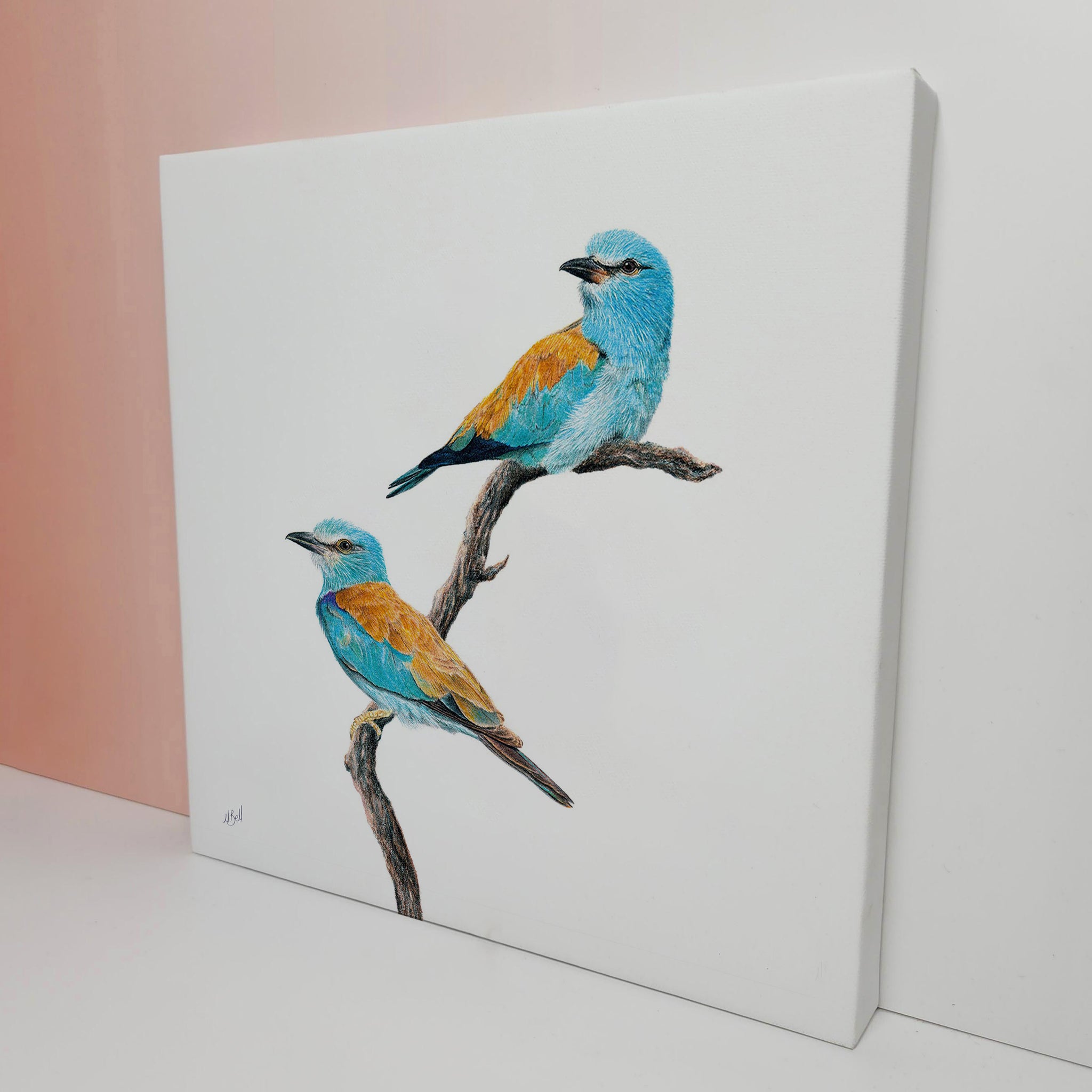 Stretched canvas South African bird artwork of a pair of European Rollers