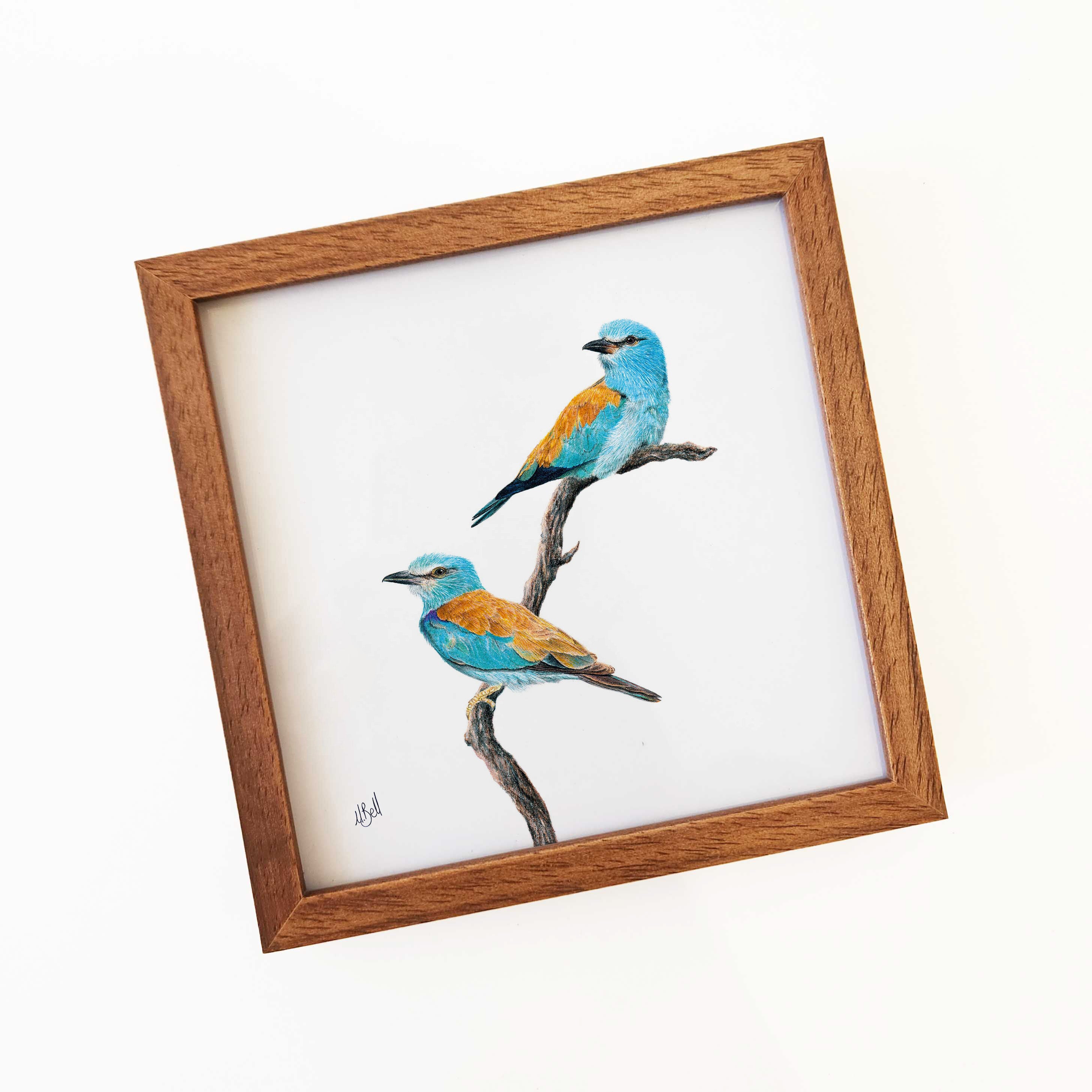 Kiaat wood framed miniature artwork of a European Roller, part of wildlife artist Matthew Bell's birds of South Africa gallery