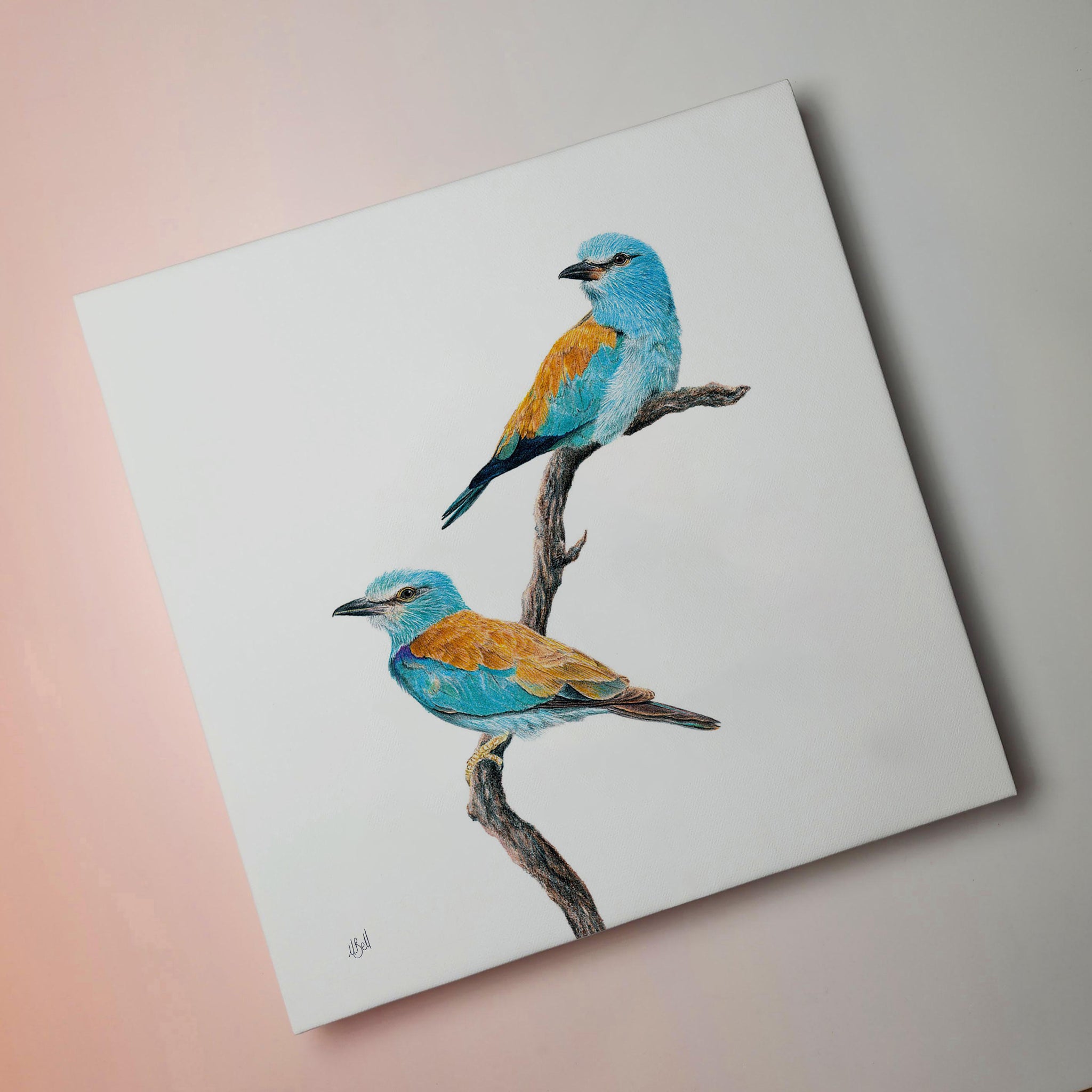 Stretched canvas South African bird artwork of a pair of European Rollers