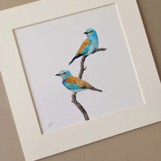 European Rollers pencil art print