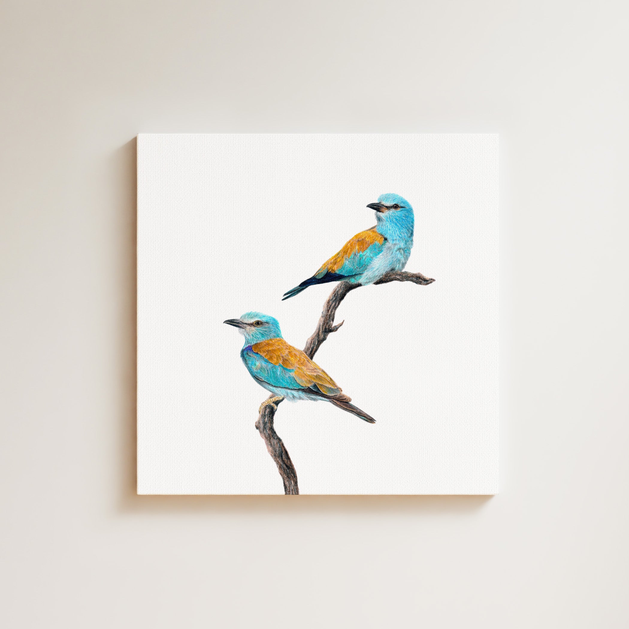 European Rollers drawing on canvas by South African wildlife artist Matthew Bell