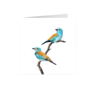 European Rollers Greeting Card - ERL