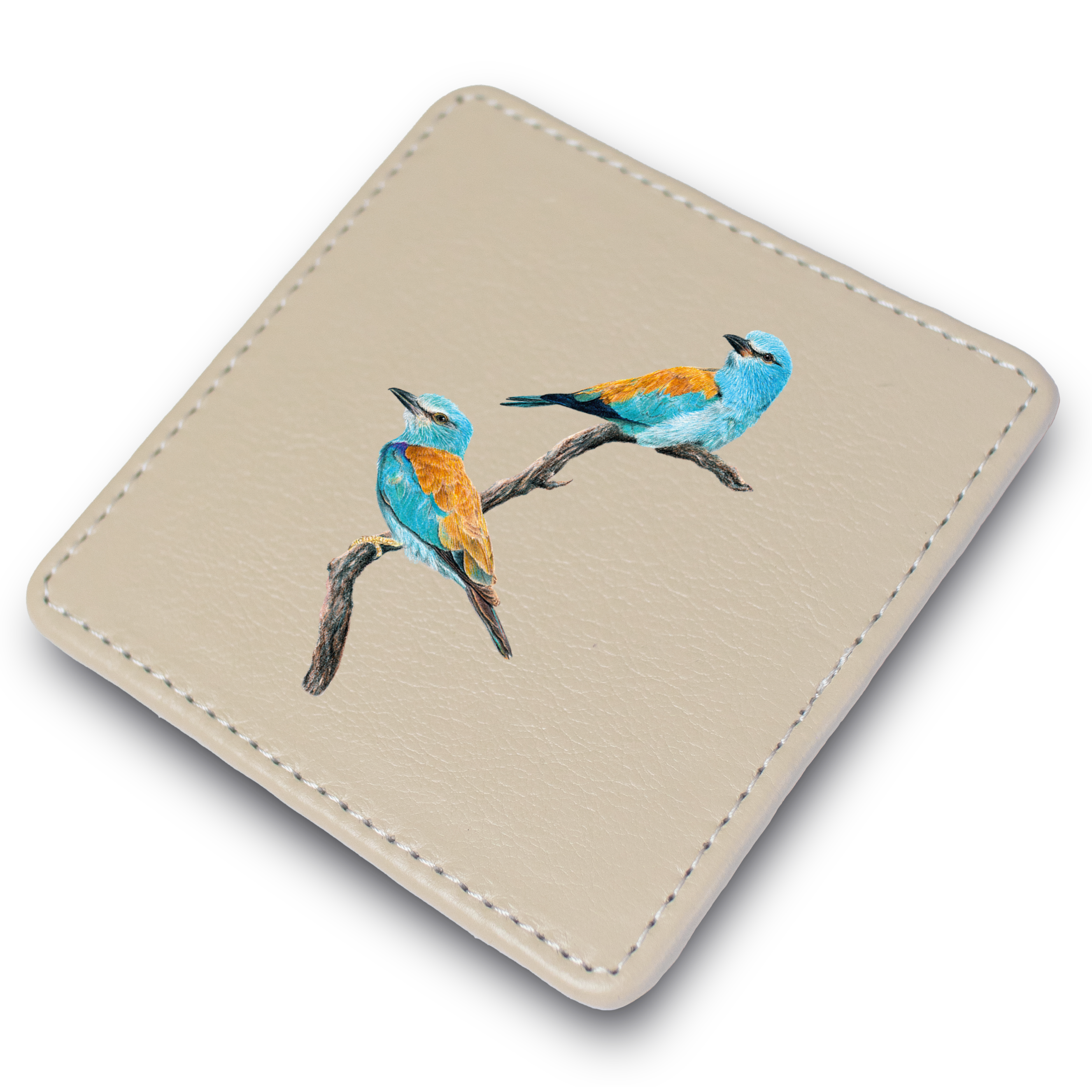 European Rollers Leather Coaster