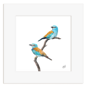 European Rollers - ERL