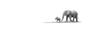 African elephant panoramic print featuring beautifully detailed wildlife pencil art inspired by Southern Africa.