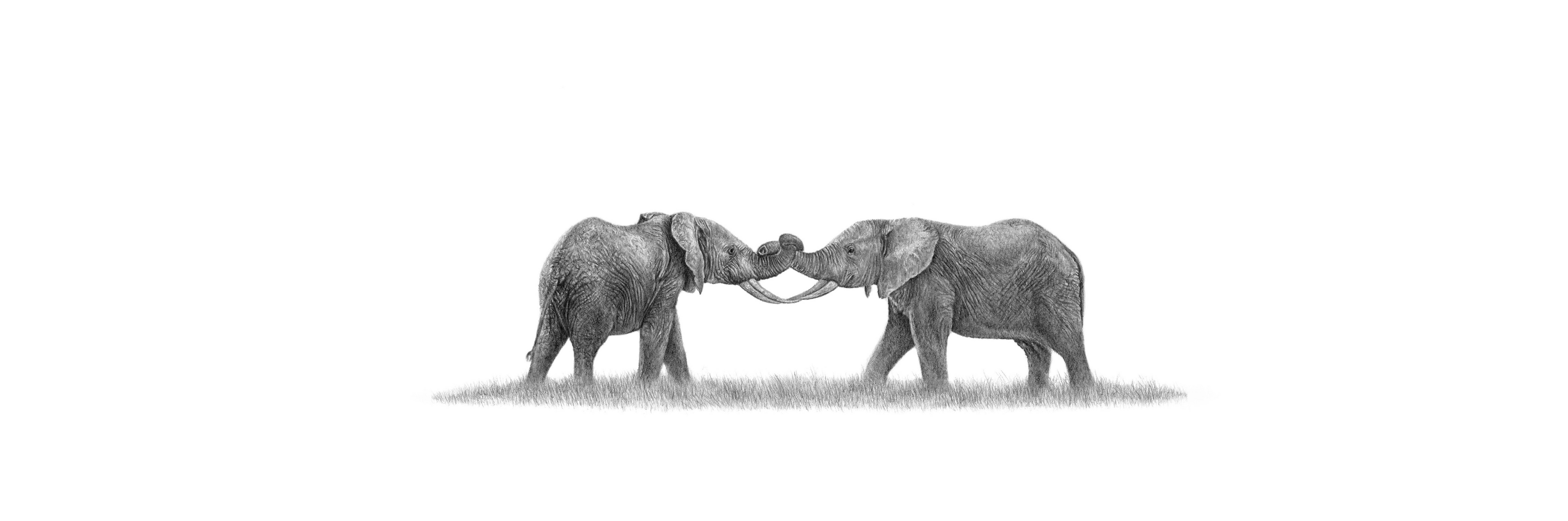 African elephant babies panoramic print featuring beautifully detailed wildlife pencil art inspired by Southern Africa. 