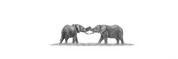 African elephant babies panoramic print featuring beautifully detailed wildlife pencil art inspired by Southern Africa. 