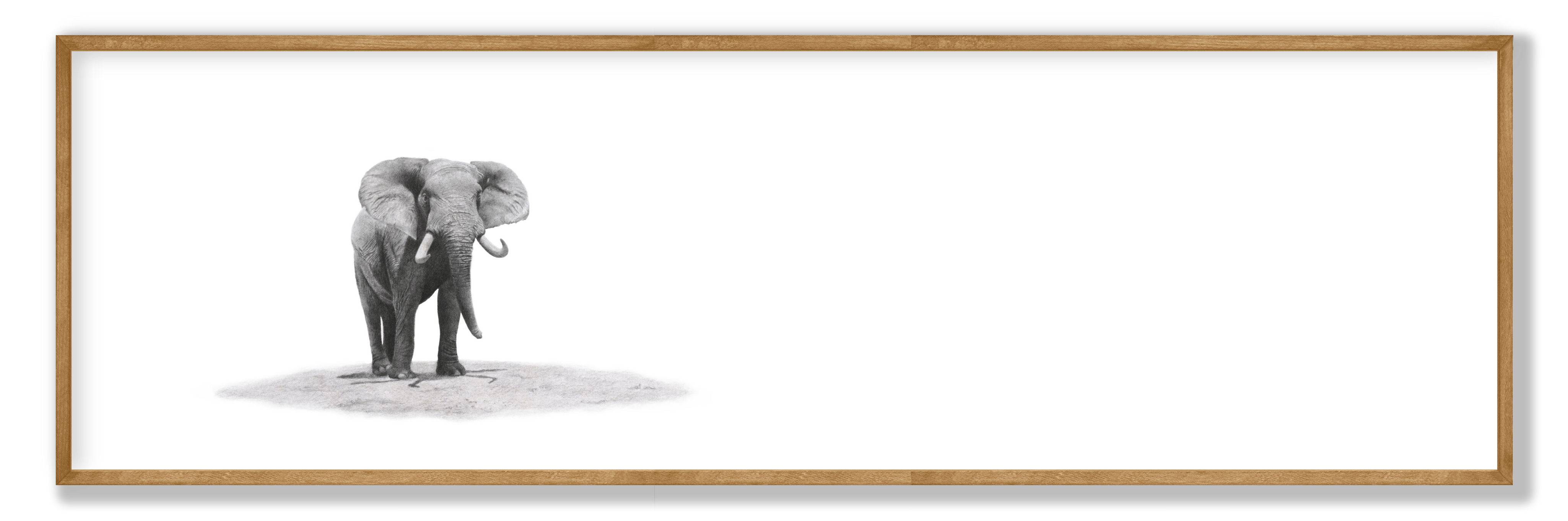 Framed elephant panorama wildlife print showcasing Matthew Bell’s detailed drawing of iconic African elephants.