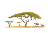 Elephants under Acacia Tree artwork by South African wildlife artist Matthew Bell