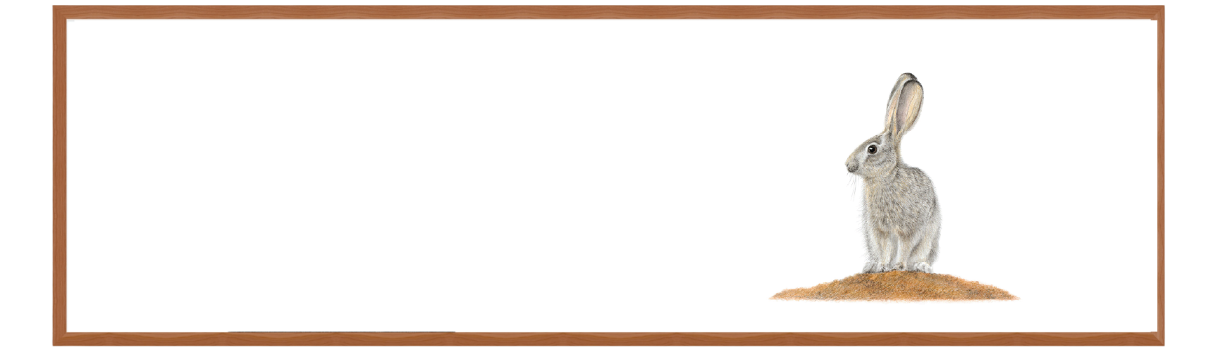 FRAMED_PANORAMA-01_92b60690-1c0d-4f6c-89e5-5dda866ae22d.png