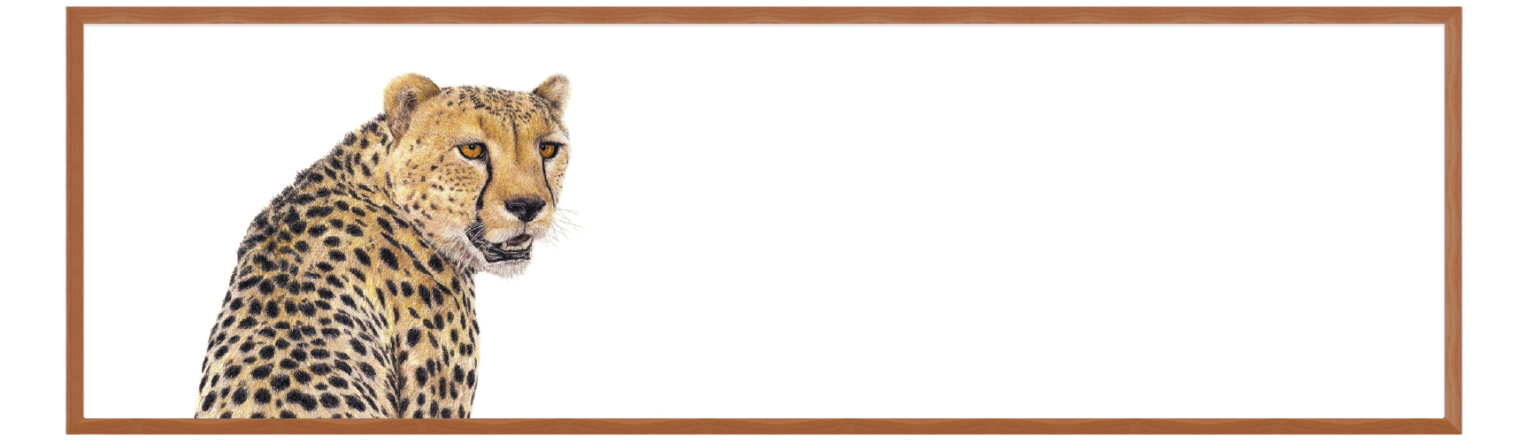 FRAMED_PANORAMA-04.png