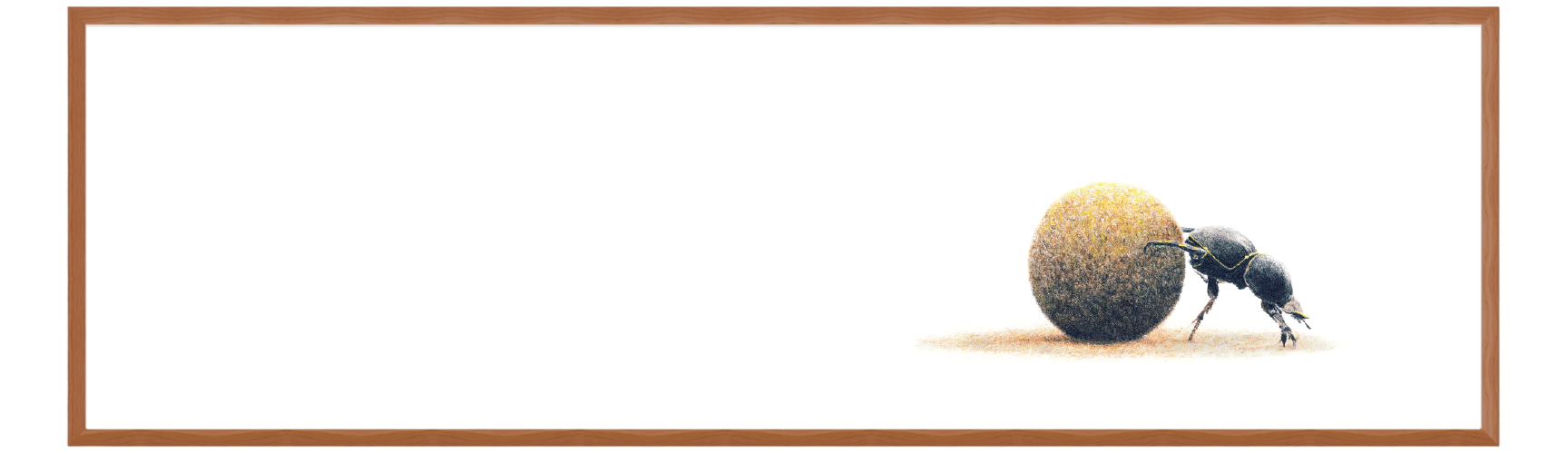 FRAMED_PANORAMA-07.png