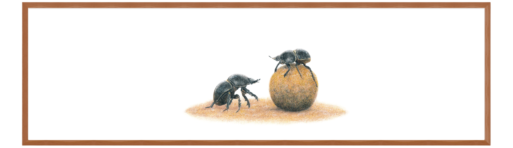 FRAMED_PANORAMA-08.png