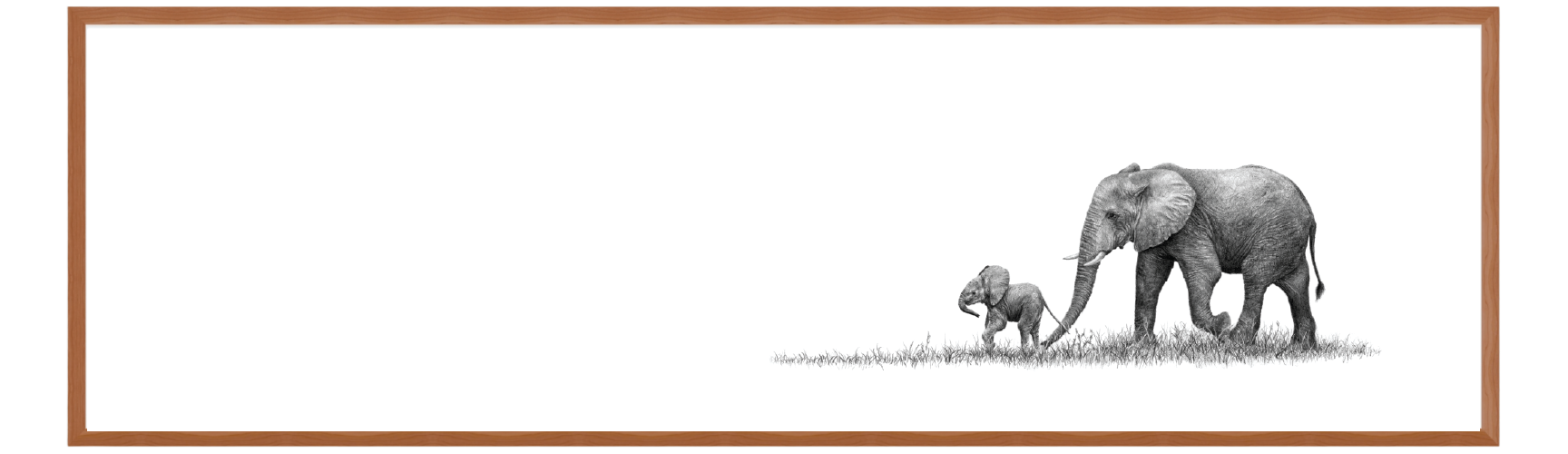Elephant Mother & Calf Panorama