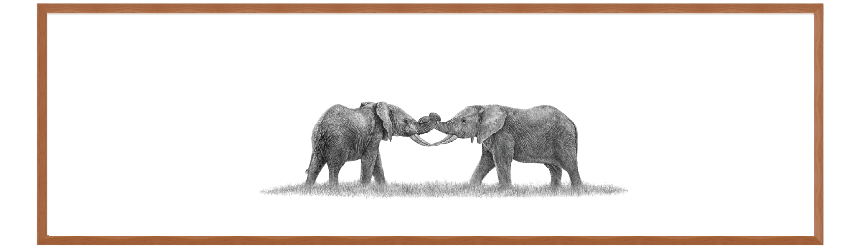 Elephants Playing Panorama