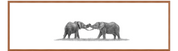 Elephants Playing Panorama