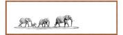 Elephant Family Panorama