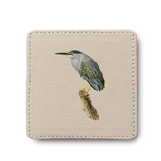 Green Backed Heron Bird leather coaster by South African wildlife artist Matthew Bell