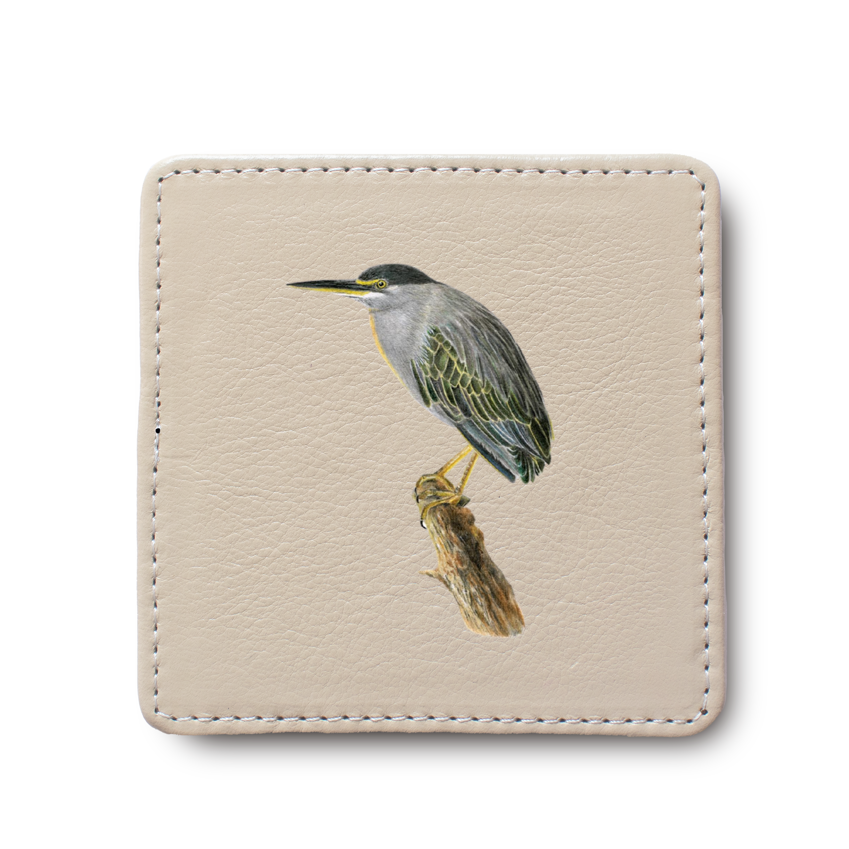 Green Backed Heron Bird leather coaster by South African wildlife artist Matthew Bell