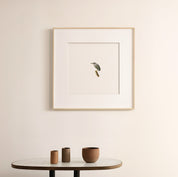 Green Backed Heron - The Original