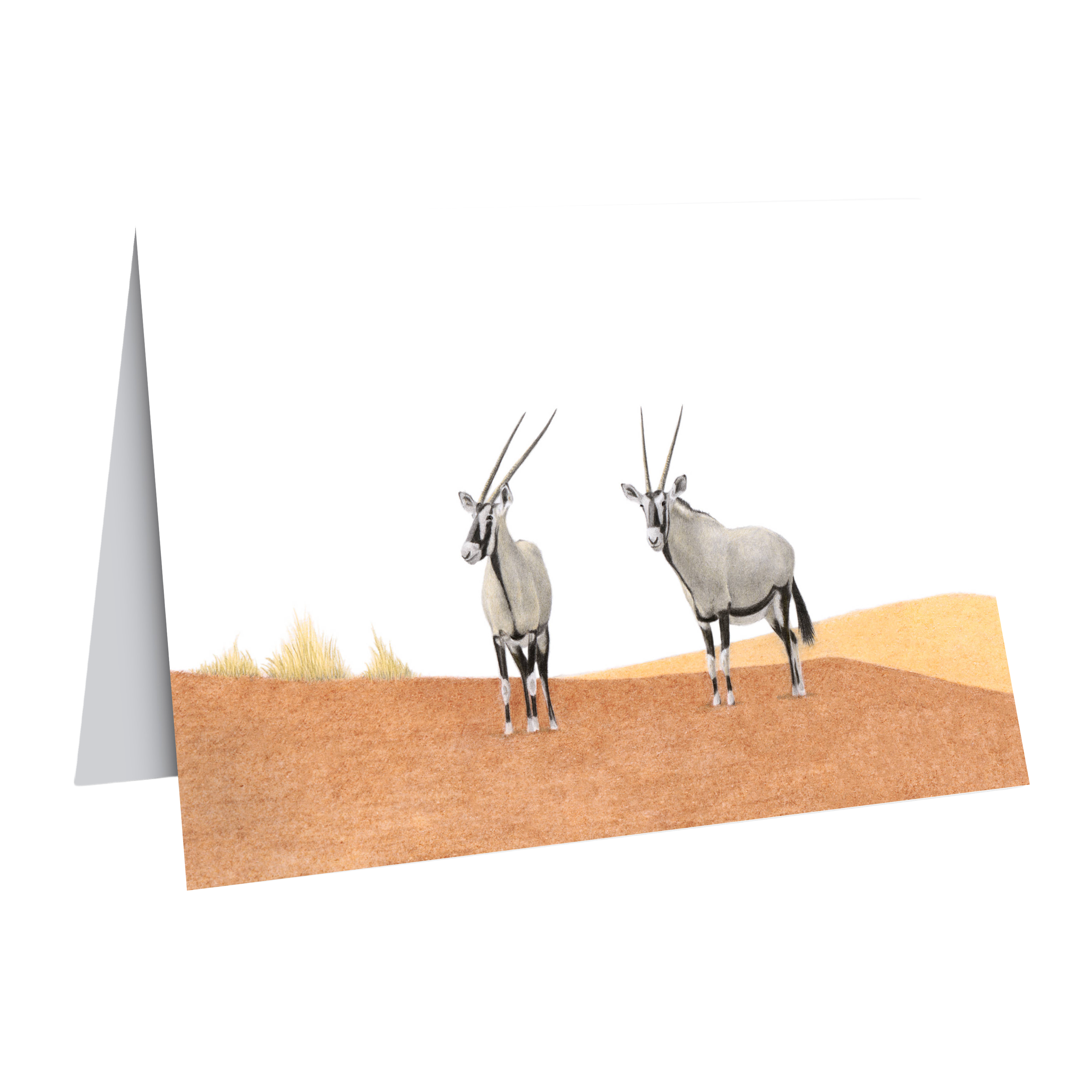 Gemsbok in the desert greeting card