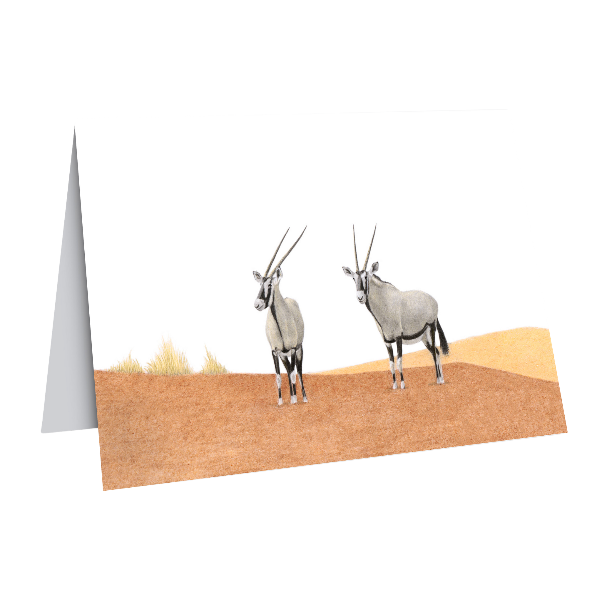 Gemsbok in the desert greeting card