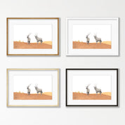 Gemsbok in the Desert - GBK1