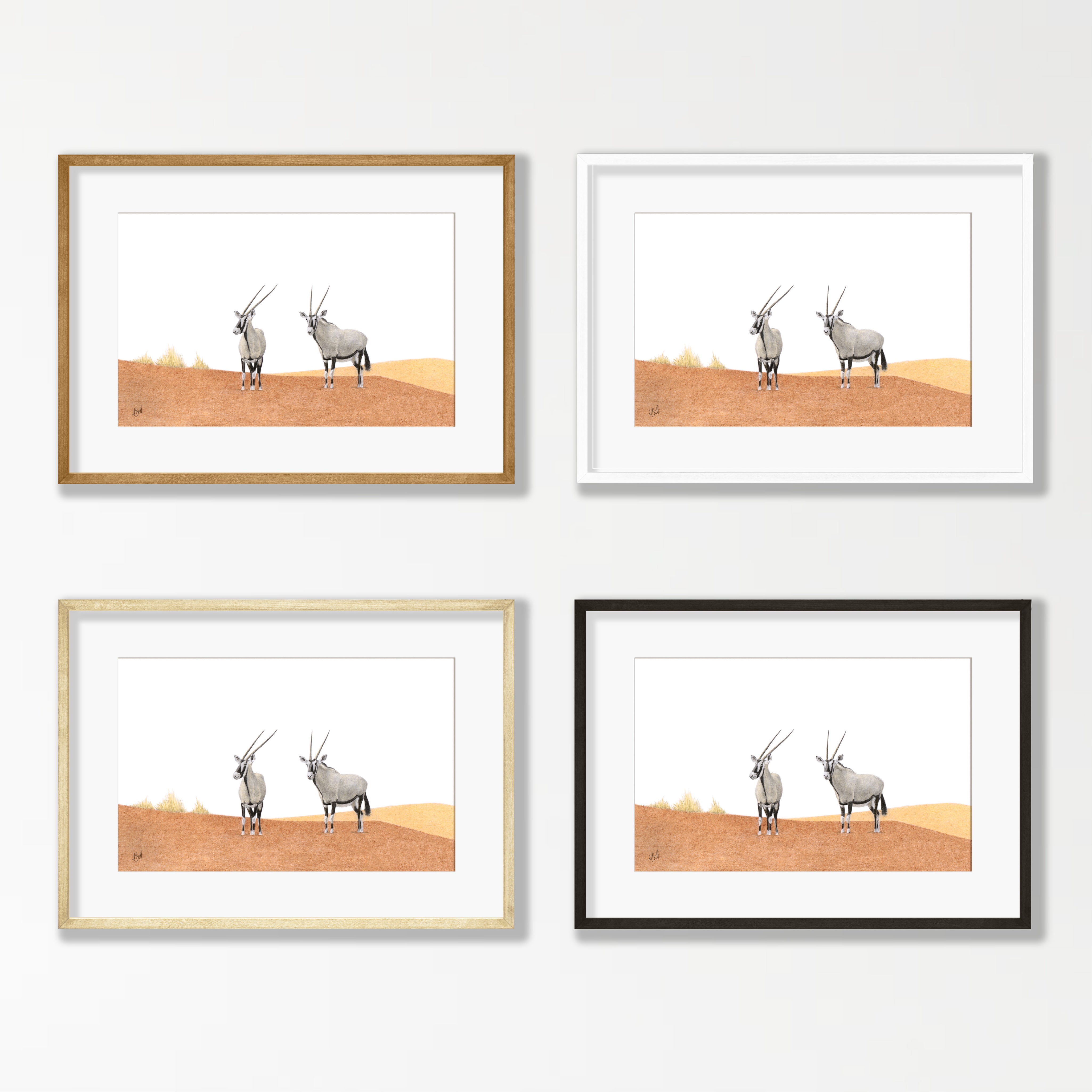 Gemsbok in the Desert - GBK1