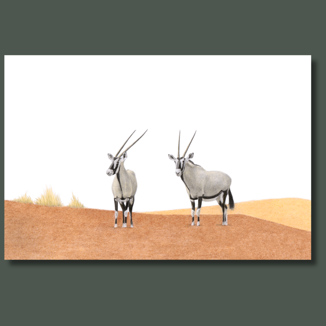 Gemsbok in the Namibian sand dunes wildlife art print