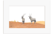 Gemsbok in the Desert - GBK1