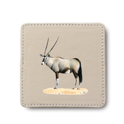 Gemsbok Leather Coaster