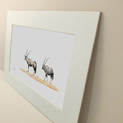 Gemsbok Pair - GBK2