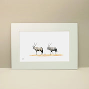 Gemsbok Pair - GBK2